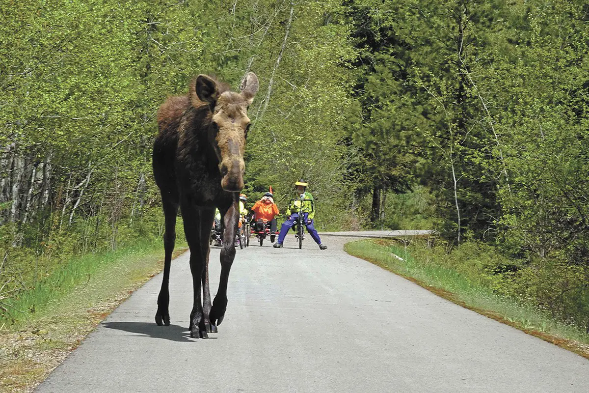 Ride the world famous Trail of the Coeur D Alenes in North Idaho.