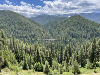 A mountain and trestle view from the Hiawatha Bike Trail.